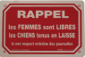 Rappel - Chiens en laisse