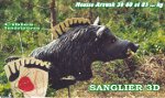 Sanglier 3D